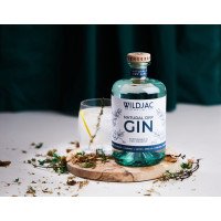 Gin